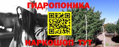 эйфоретик Рыбинск