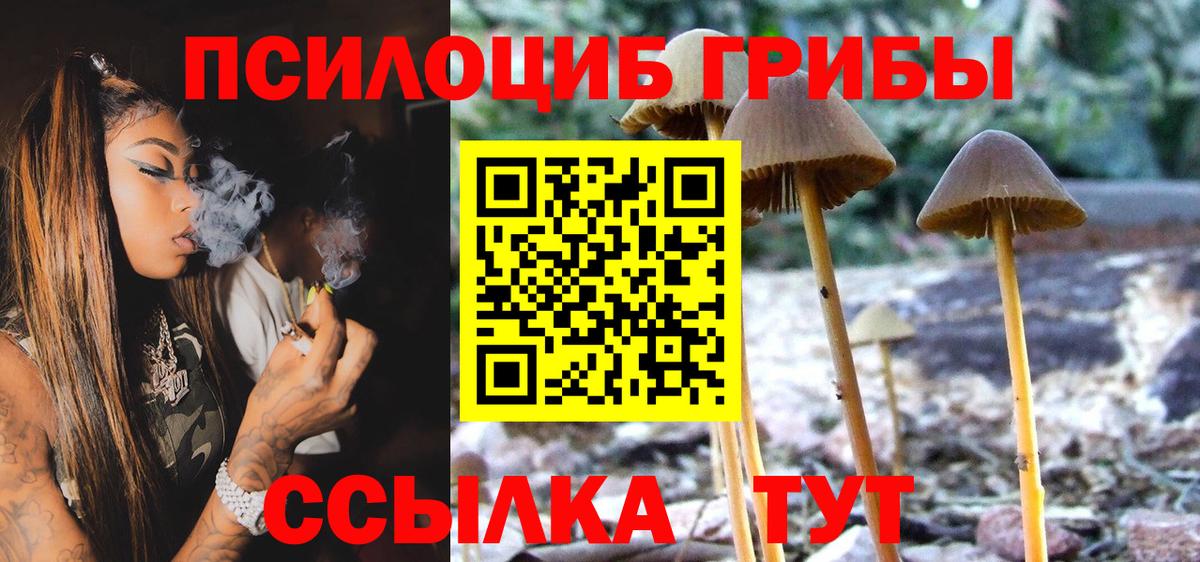 Псилоцибиновые грибы Magic Shrooms Рузаевка