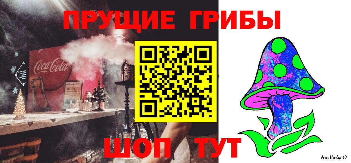 Галлюциногенные грибы MAGIC MUSHROOMS  Вход с VPN  Рузаевка 